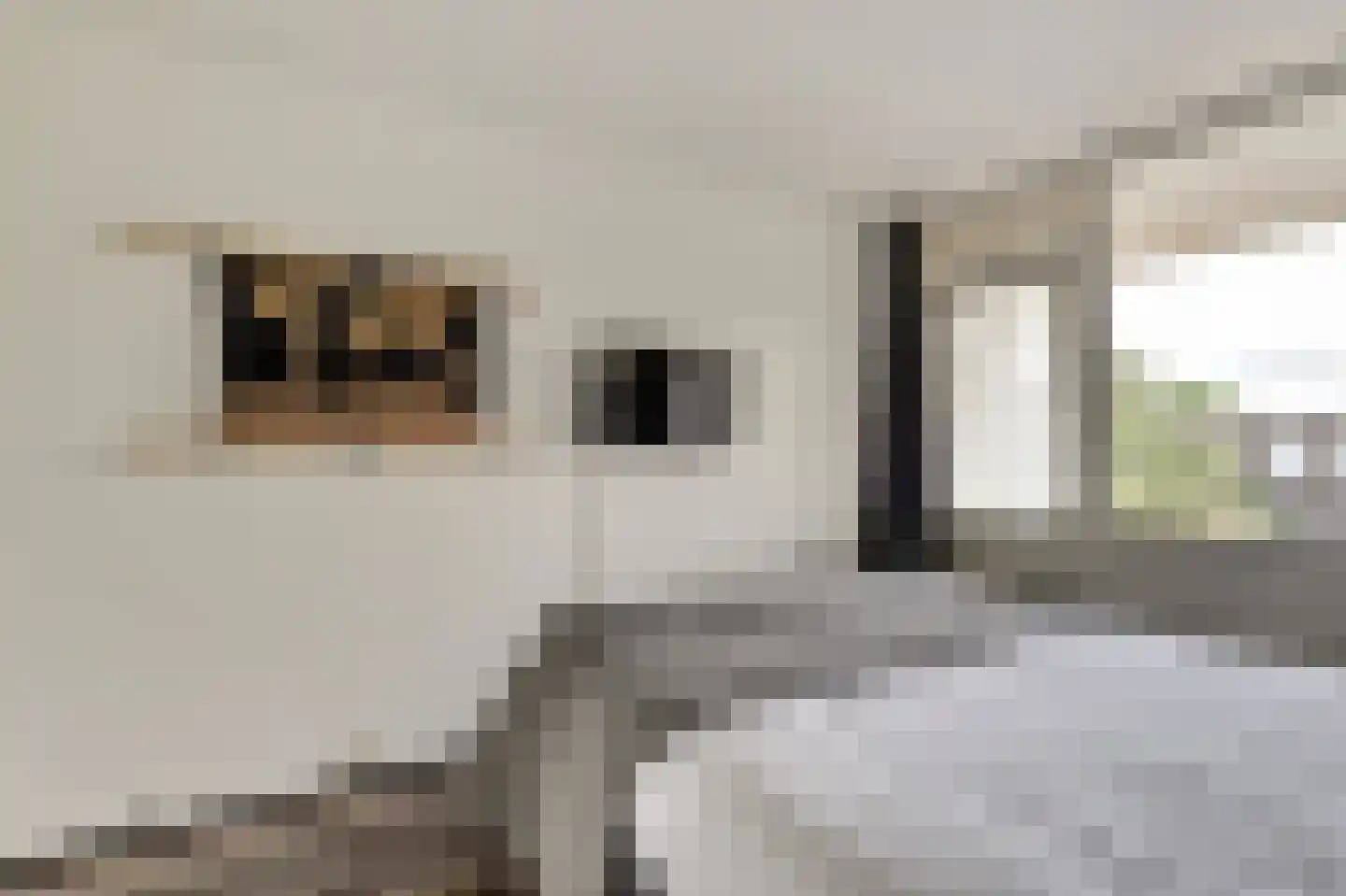 Arthur van Schendelstraat 729 Utrecht thumbnail 13