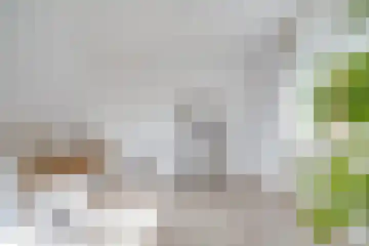 Arthur van Schendelstraat 731 Utrecht thumbnail 37