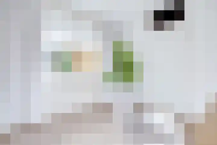 Arthur van Schendelstraat 731 Utrecht thumbnail 41