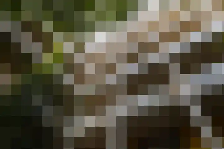 Arthur van Schendelstraat 731 Utrecht thumbnail 54