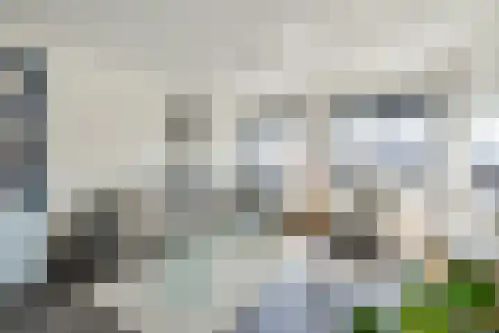 Arthur van Schendelstraat 751 Utrecht thumbnail 4