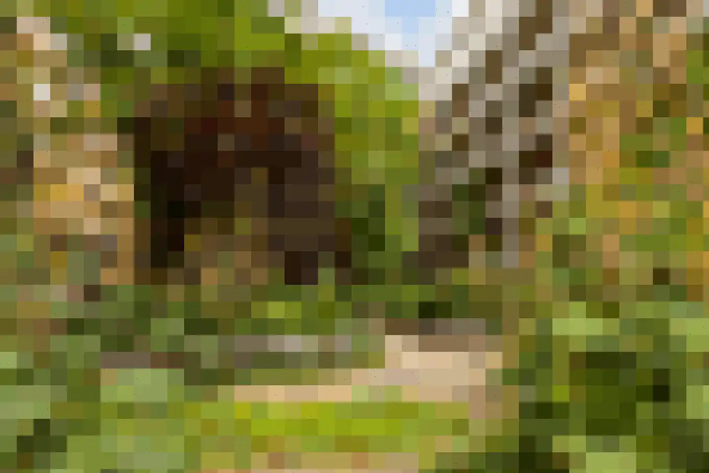 Arthur van Schendelstraat 767 Utrecht thumbnail 37