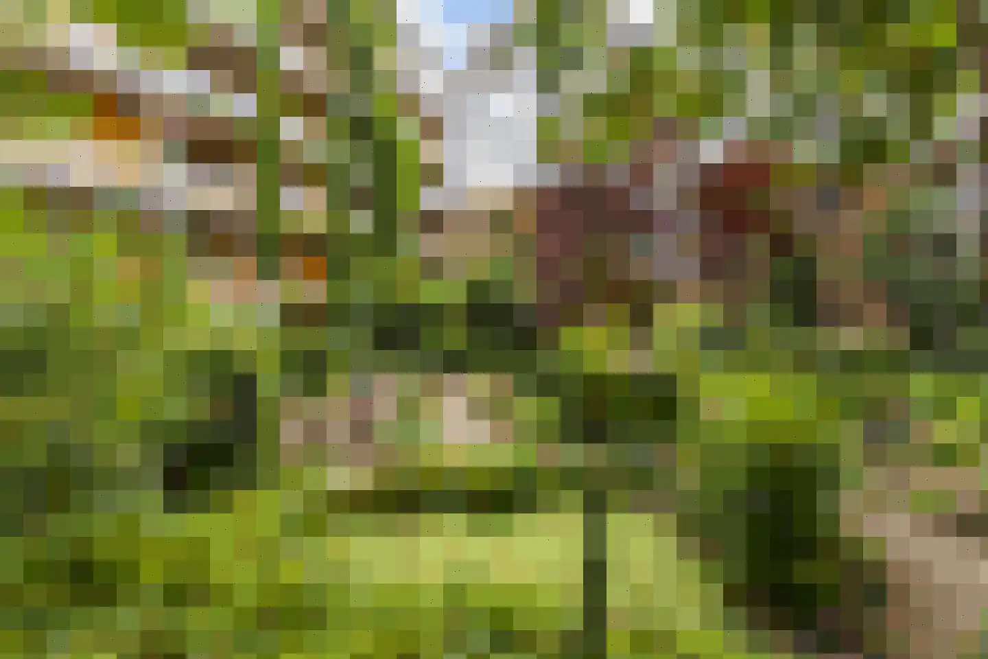 Arthur van Schendelstraat 767 Utrecht thumbnail 40