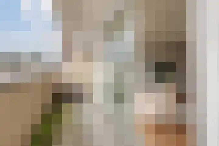 Arthur van Schendelstraat 775 Utrecht thumbnail 25