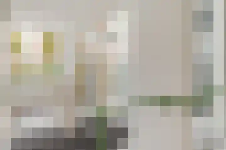 Arthur van Schendelstraat 775 Utrecht thumbnail 7