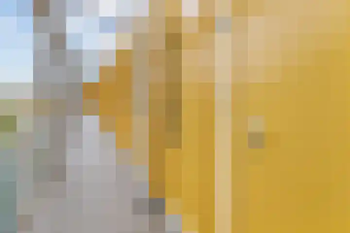 Arthur van Schendelstraat 775 Utrecht thumbnail 9