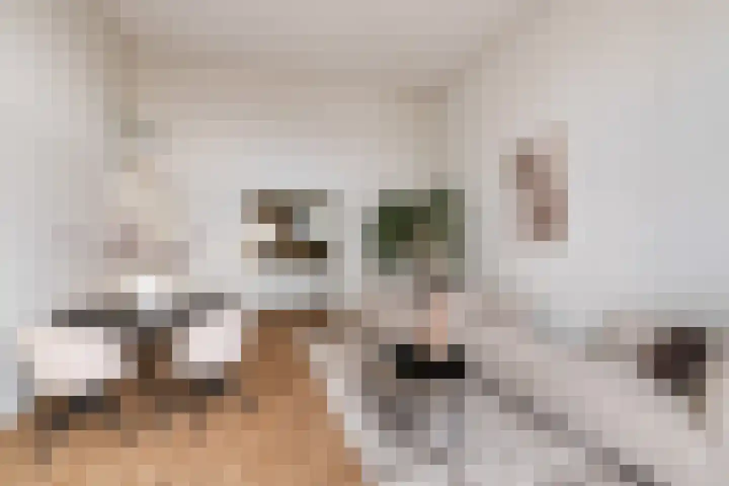 Arthur van Schendelstraat 96 Utrecht thumbnail 11