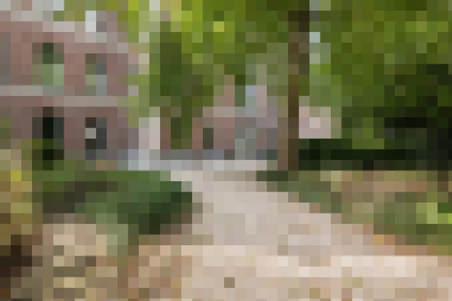 Arthur van Schendelstraat 96 Utrecht thumbnail 30