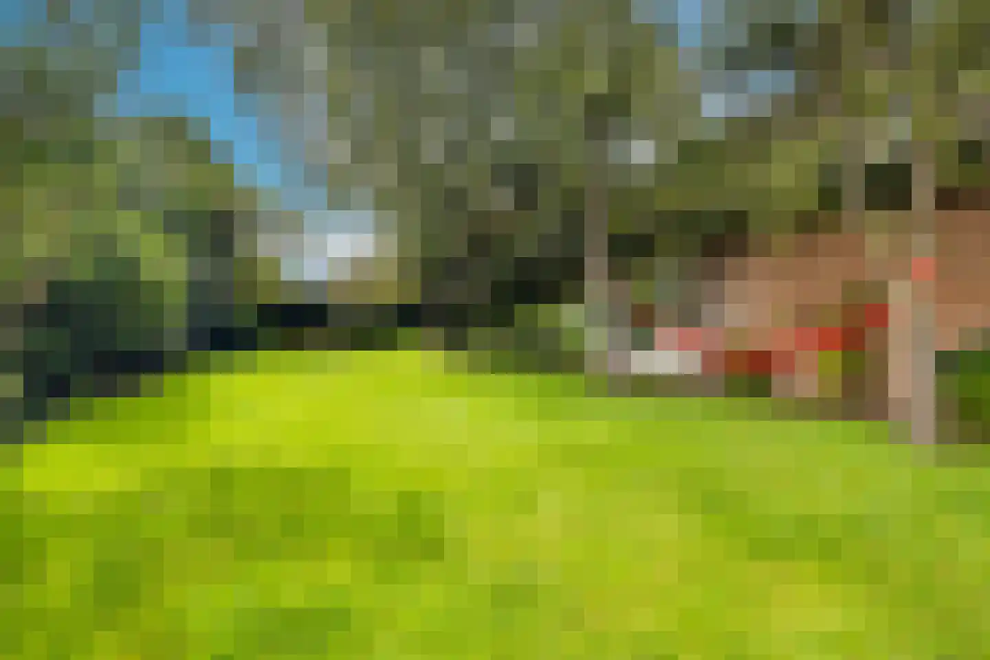 Arthurgaarde 9 Apeldoorn thumbnail 46