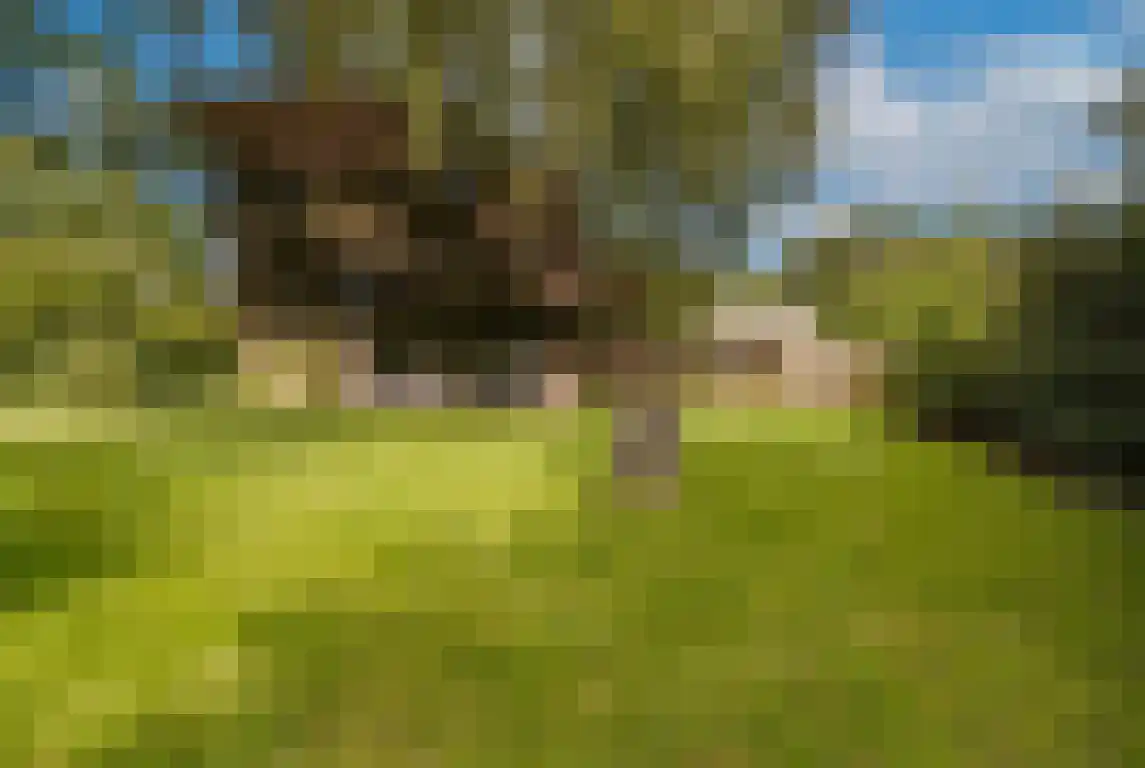 Arthurgaarde 9 Apeldoorn thumbnail 47