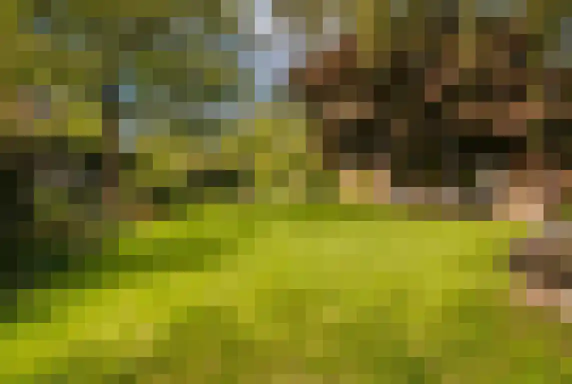 Arthurgaarde 9 Apeldoorn thumbnail 48