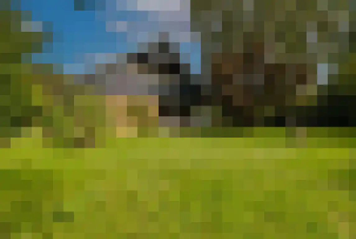 Arthurgaarde 9 Apeldoorn thumbnail 49