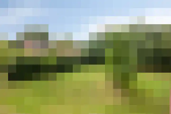Artilleriepark 24 Arnhem thumbnail 4