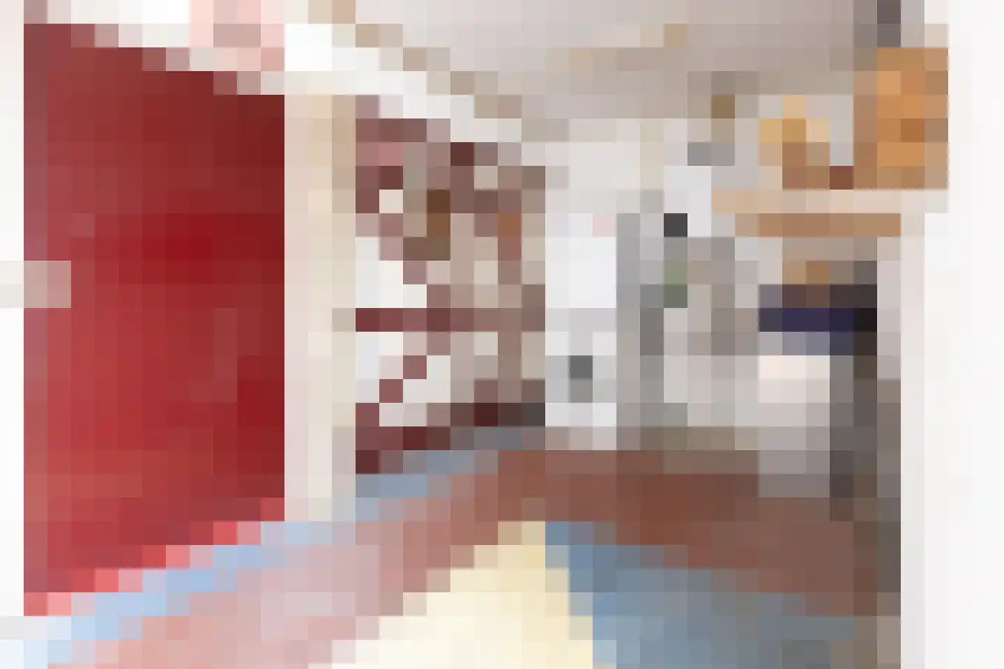 Artilleriestraat 21 Bergen op Zoom thumbnail 17