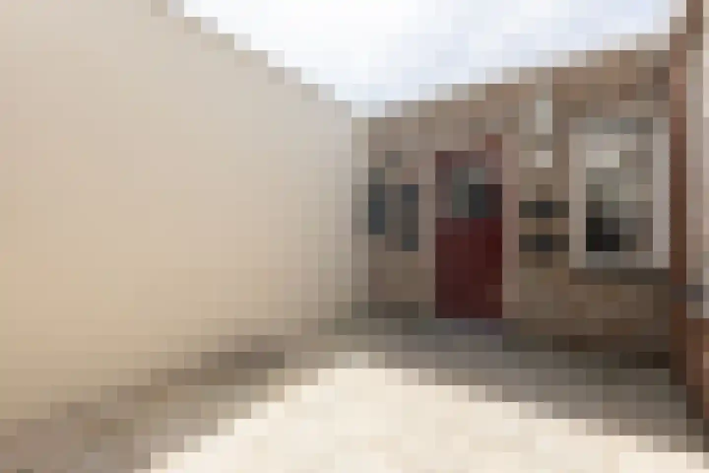 Artilleriestraat 21 Bergen op Zoom thumbnail 28