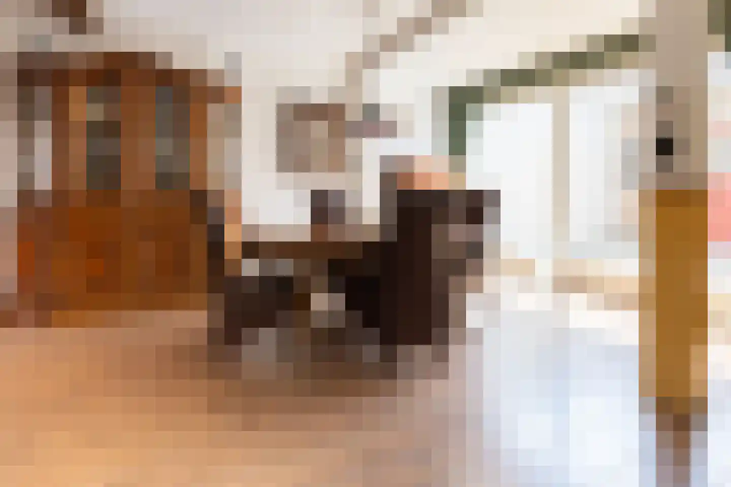 Artilleriestraat 21 Bergen op Zoom thumbnail 4