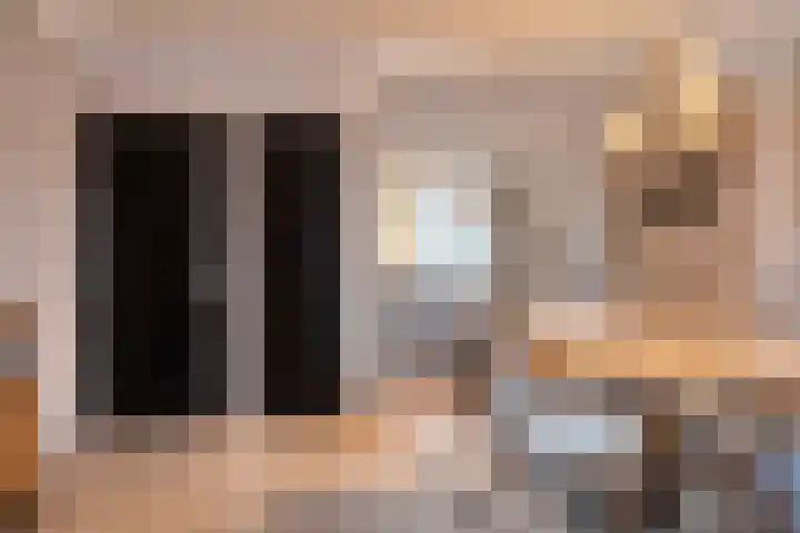 Artilleriestraat 49 Bergen op Zoom thumbnail 12