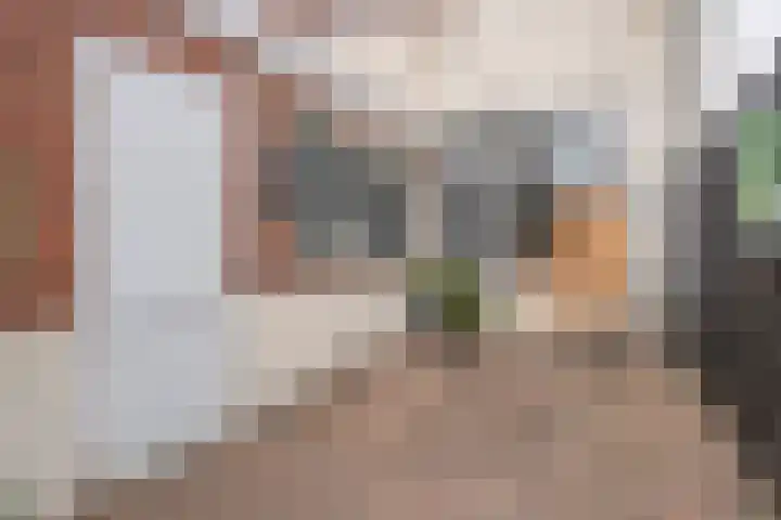 Artilleriestraat 49 Bergen op Zoom thumbnail 29