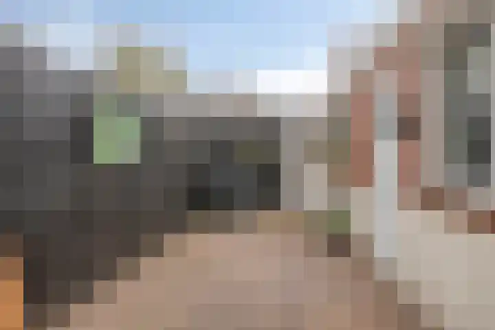 Artilleriestraat 49 Bergen op Zoom thumbnail 30