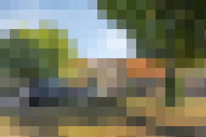Artilleriestraat 59 Bergen op Zoom thumbnail 32
