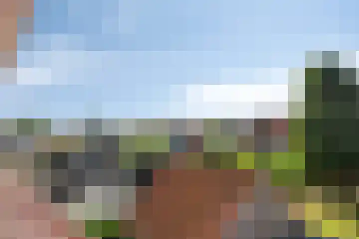 Artilleriestraat 59 Bergen op Zoom thumbnail 34