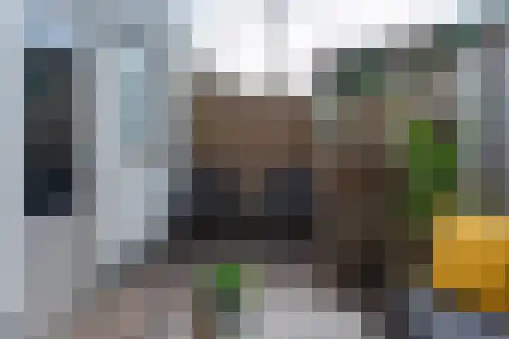 Artilleriestraat 73 Bergen op Zoom thumbnail 29