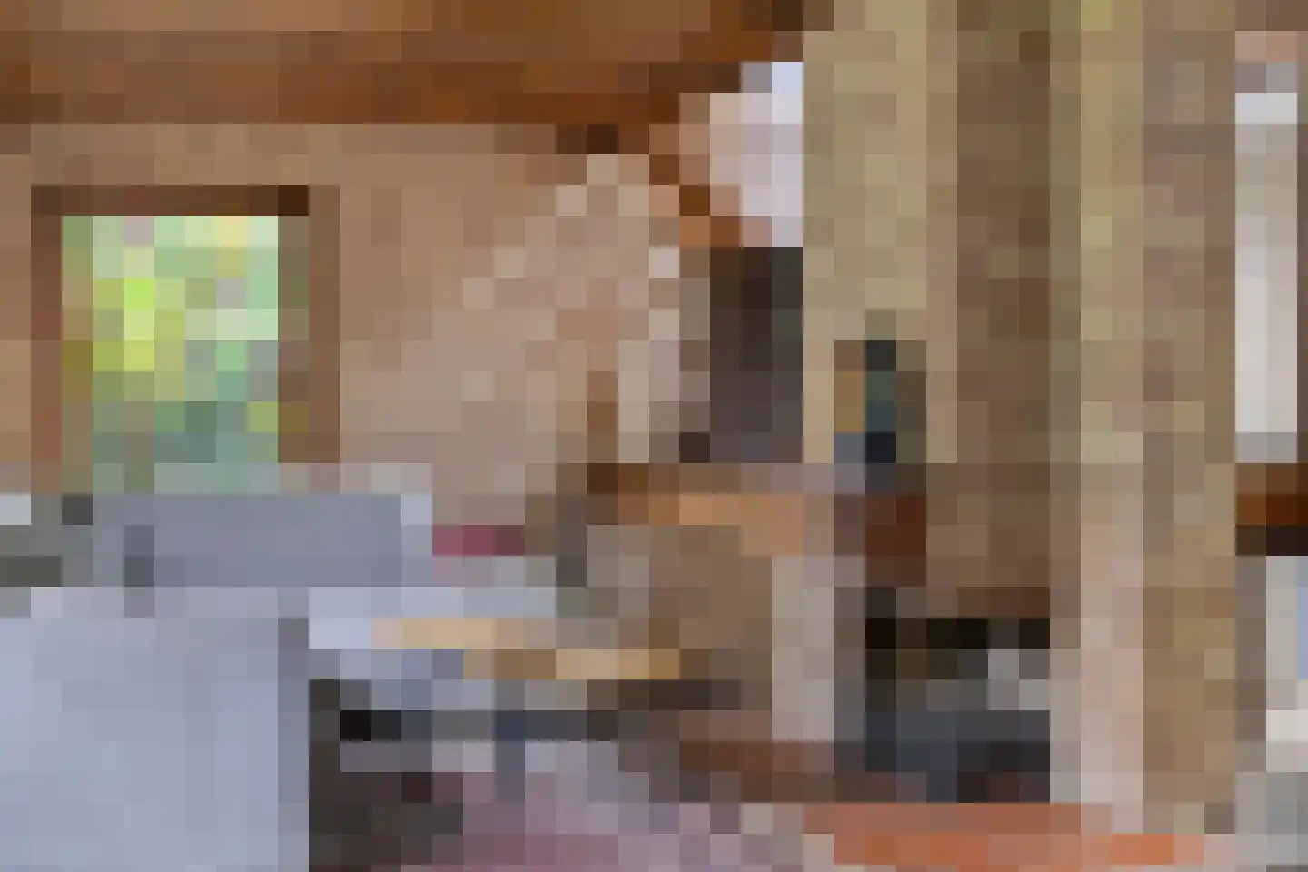 Artillerieweg 13 Uden thumbnail 17