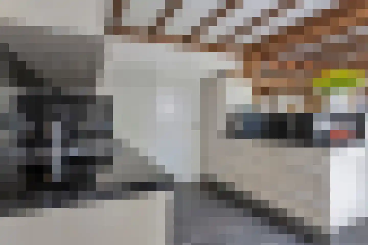 Artillerieweg 13 Uden thumbnail 4