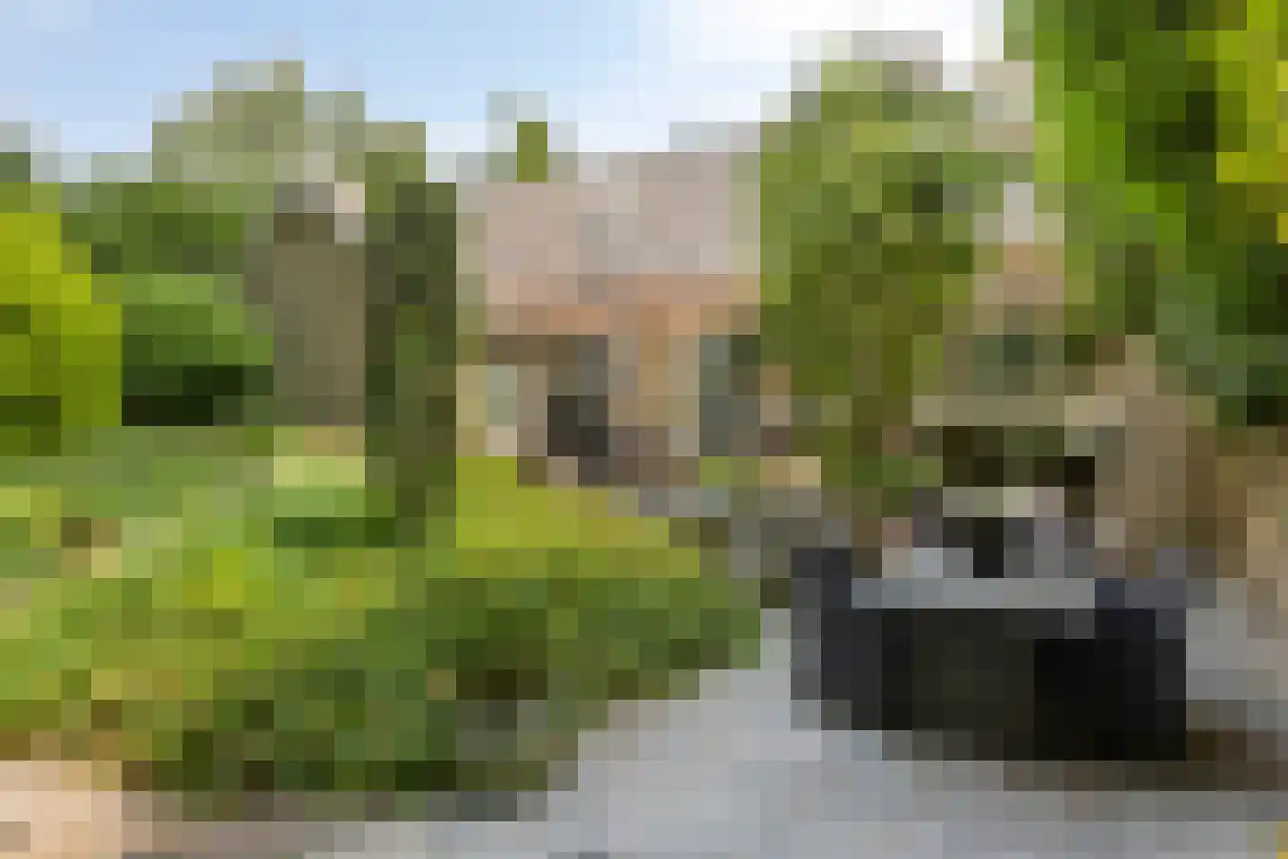 Artillerieweg 13 Uden thumbnail 44