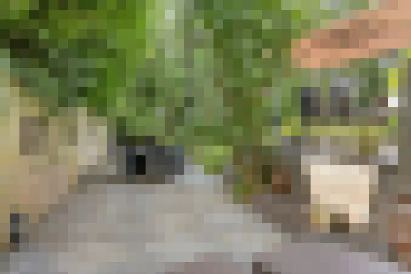 Artillerieweg 13 Uden thumbnail 46