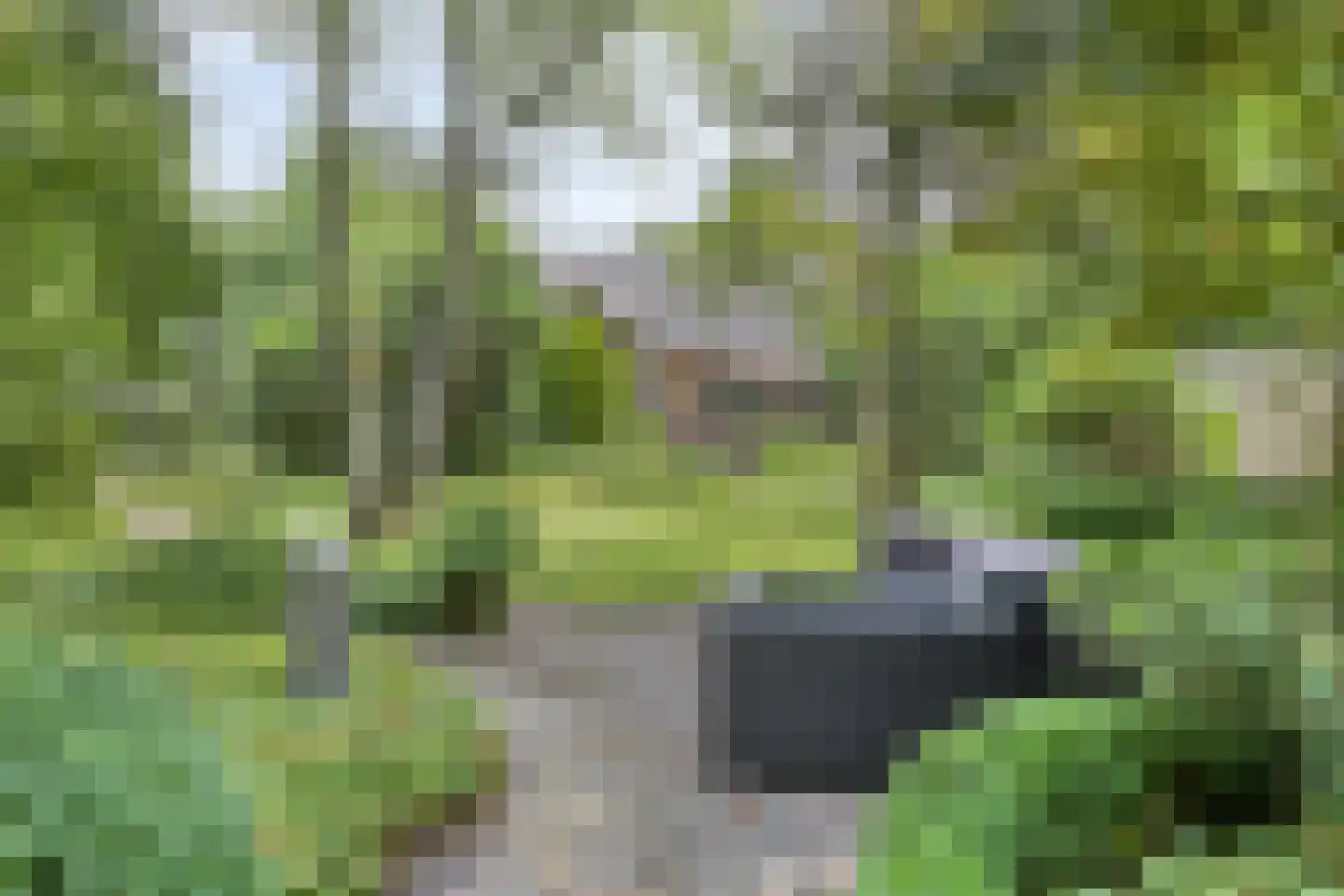 Artillerieweg 13 Uden thumbnail 47