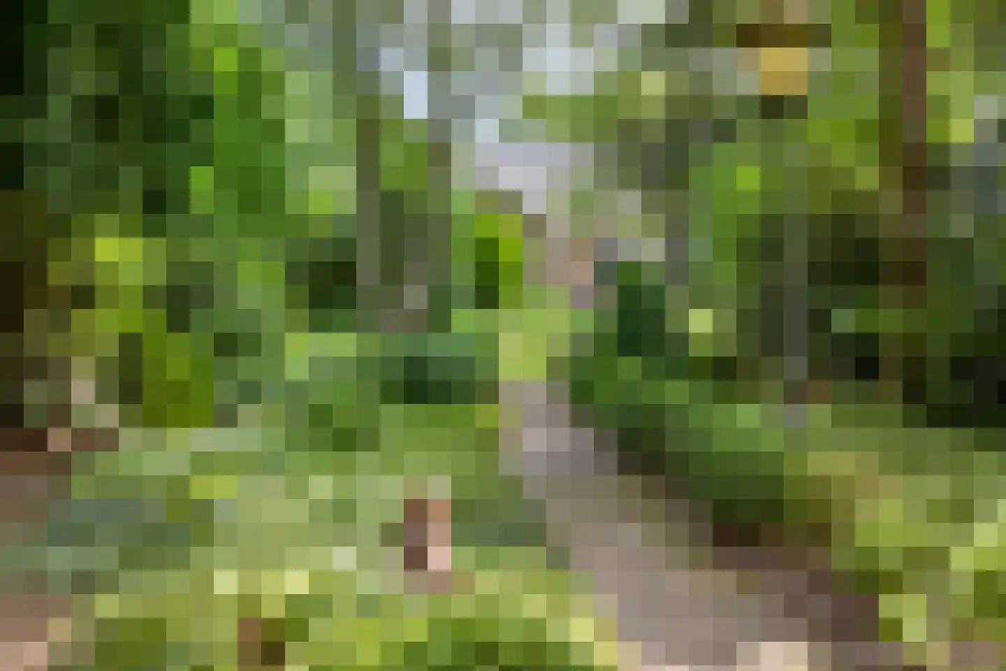 Artillerieweg 13 Uden thumbnail 55