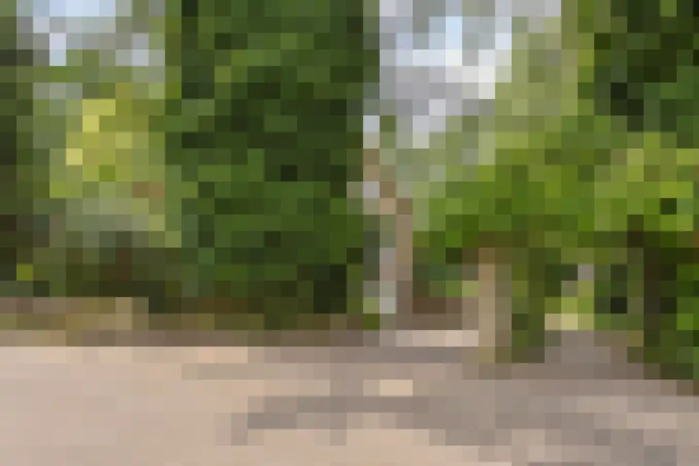 Artillerieweg 13 Uden thumbnail 6