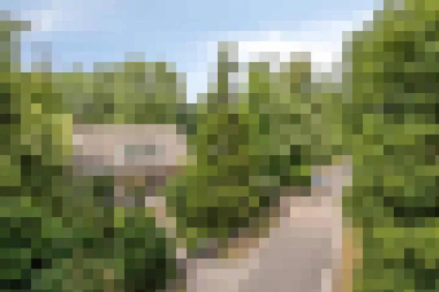 Artillerieweg 13 Uden thumbnail 60