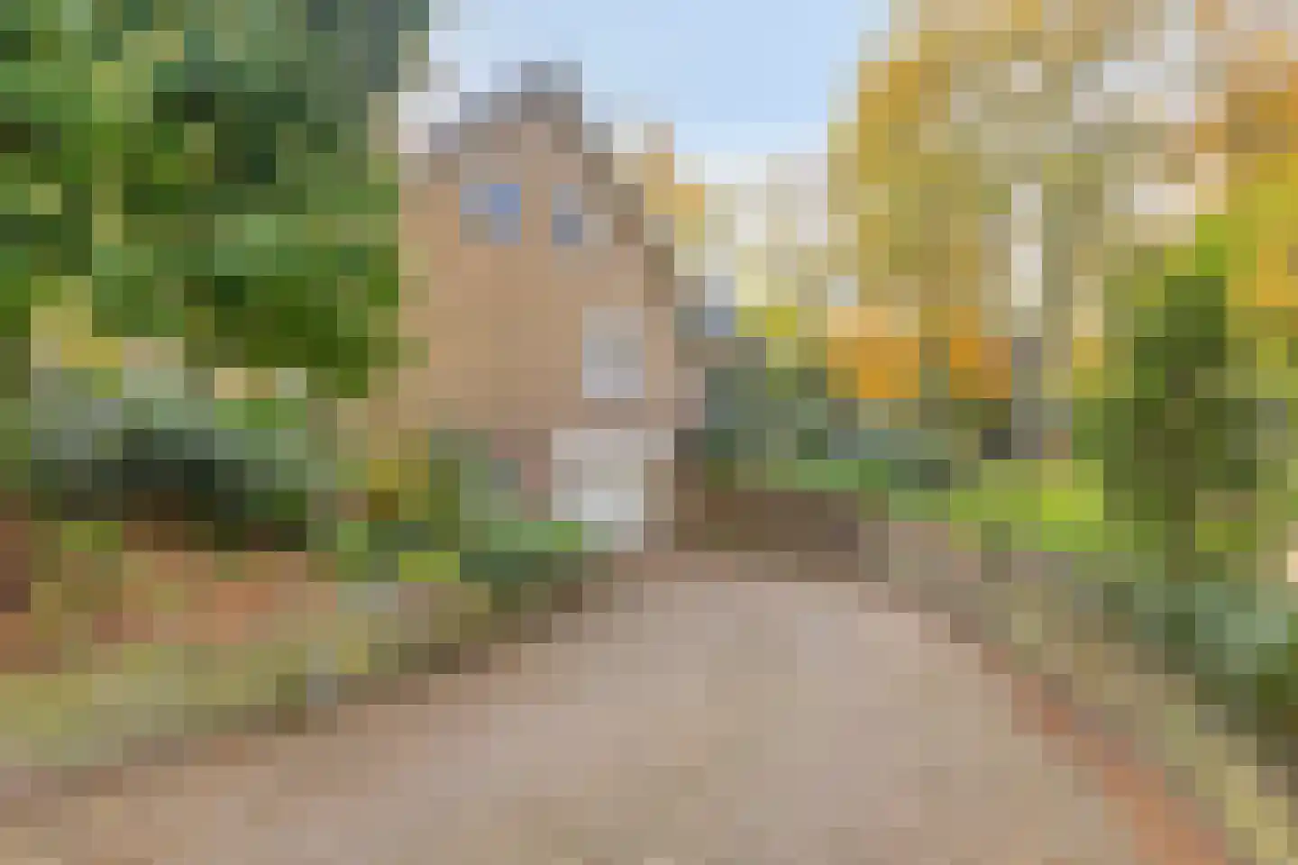 Artillerieweg 13 Uden thumbnail 9