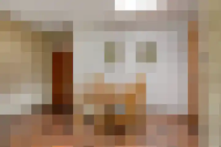 Arturo Toscaninistraat 3 Hengelo thumbnail 12