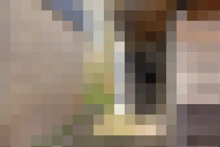 Arturo Toscaninistraat 3 Hengelo thumbnail 33