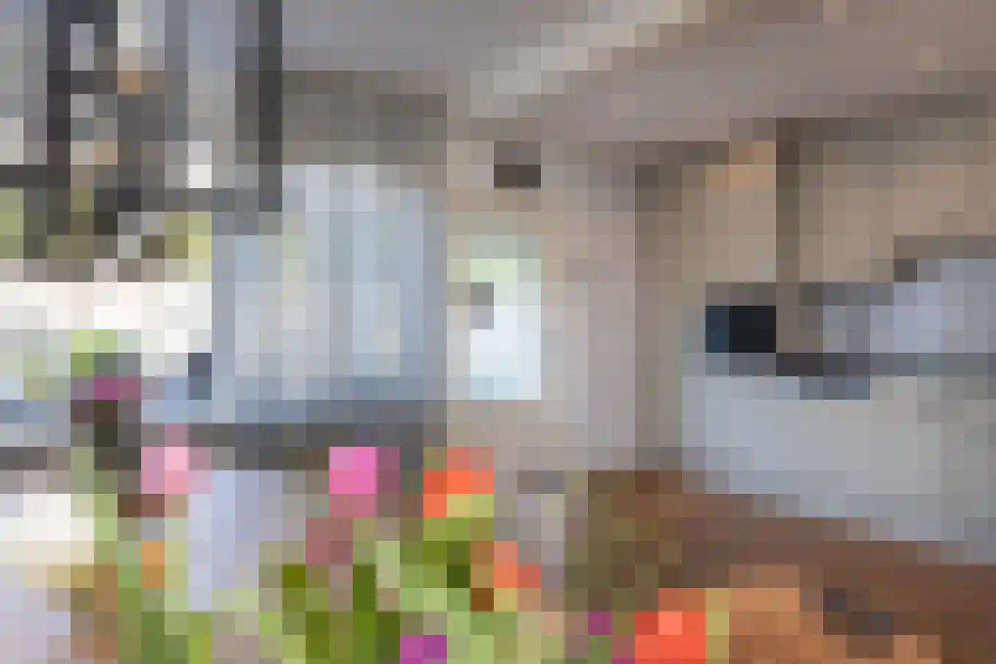 Arturo Toscaninistraat 30 Hengelo thumbnail 8
