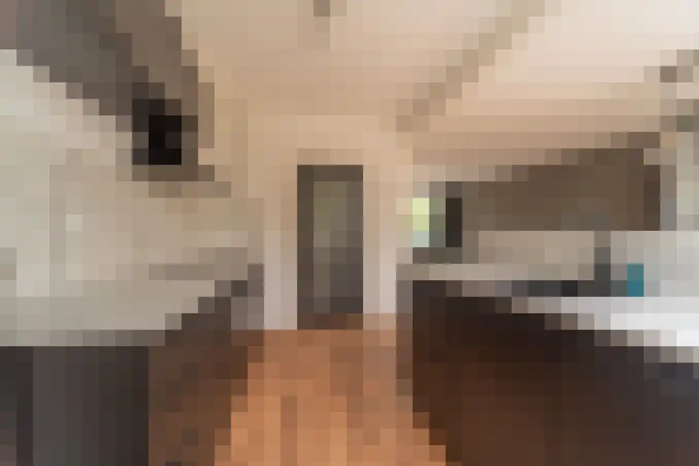 Artuslaan 1 Andijk thumbnail 18