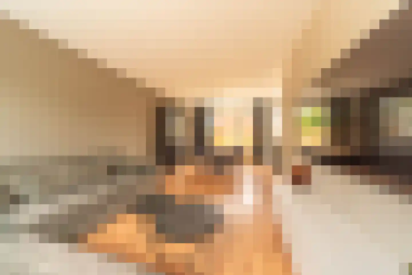 Artuslaan 1 Andijk thumbnail 27