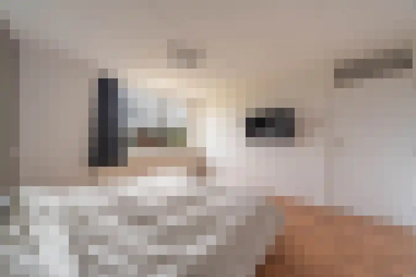 Artuslaan 1 Andijk thumbnail 34