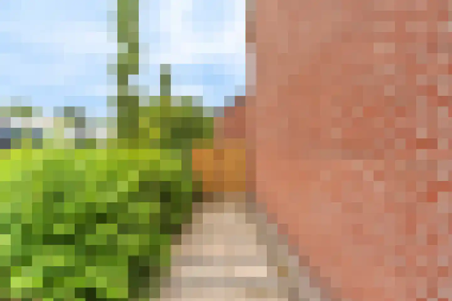 Artuslaan 1 Andijk thumbnail 4