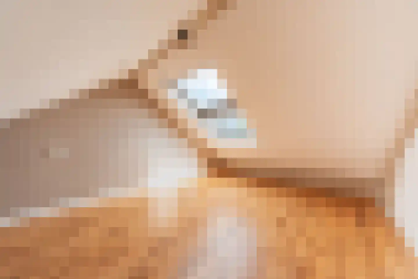 Artuslaan 1 Andijk thumbnail 53