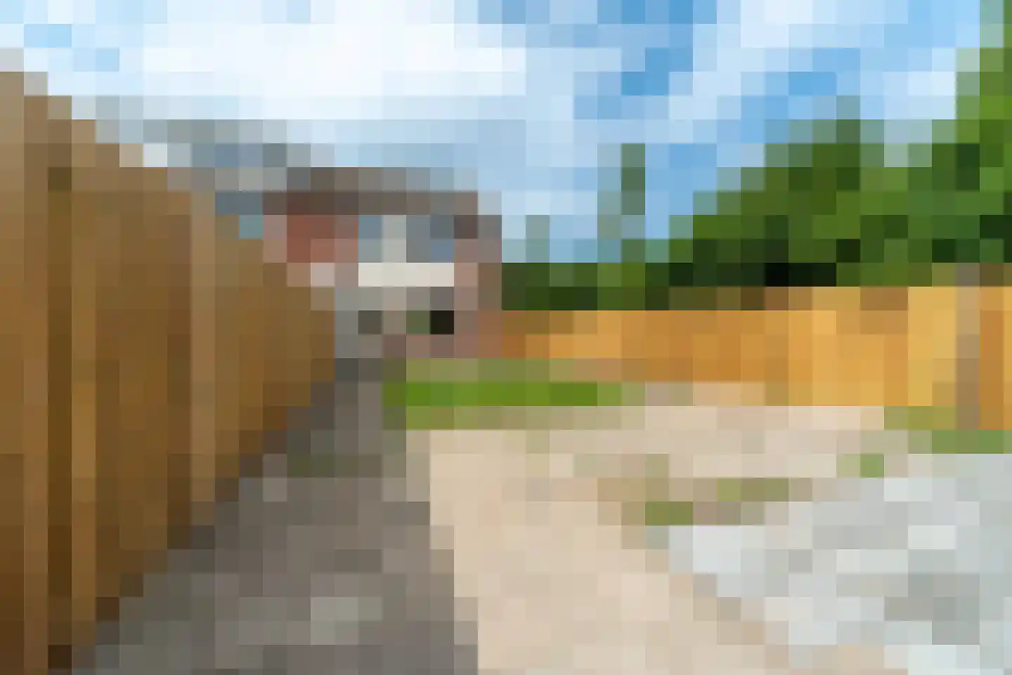 Artuslaan 1 Andijk thumbnail 59