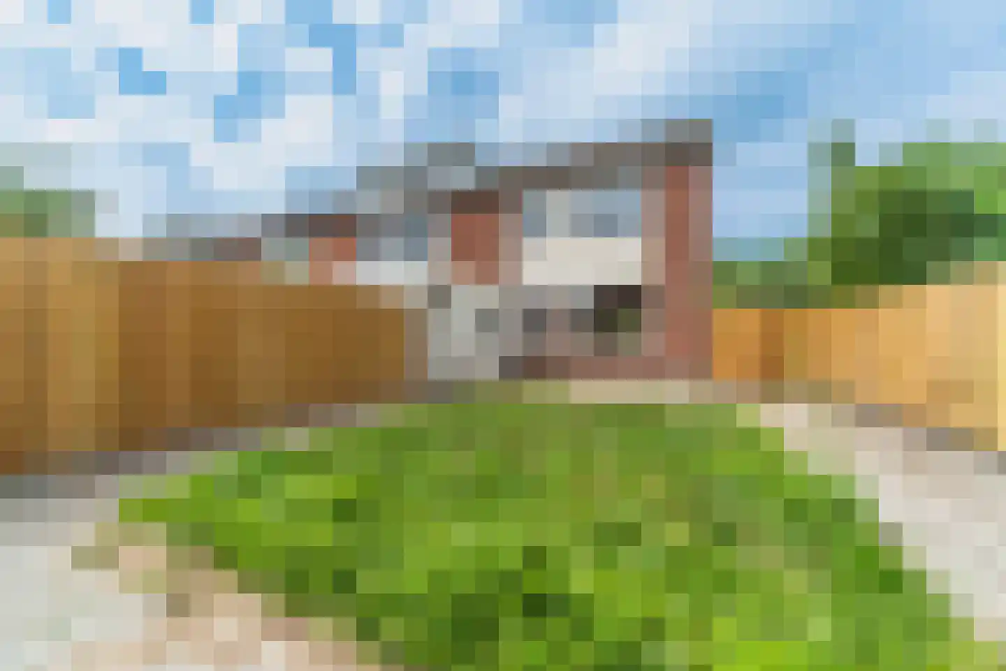 Artuslaan 1 Andijk thumbnail 60