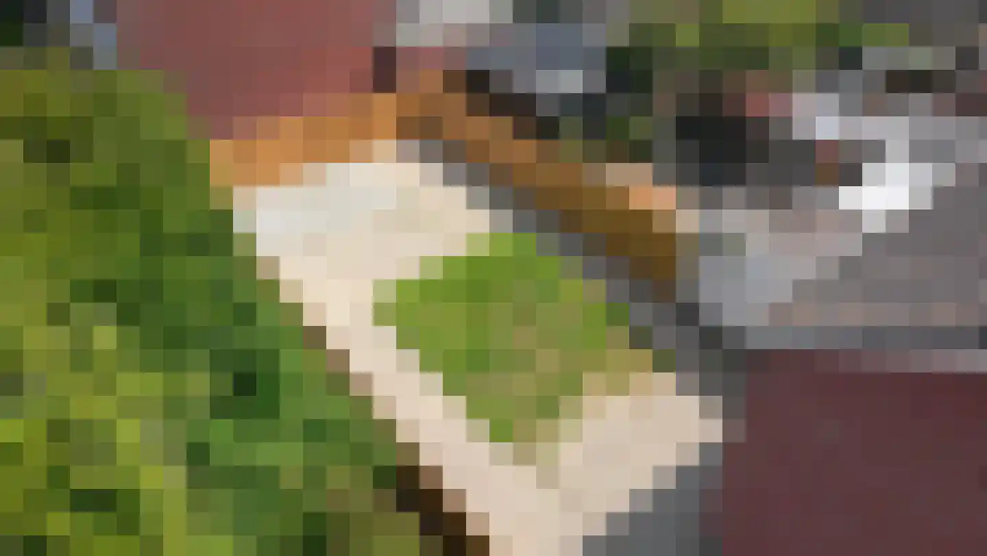 Artuslaan 1 Andijk thumbnail 71