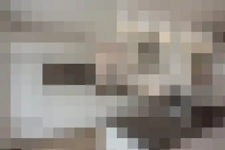 Aruba 8 Zoetermeer thumbnail 11