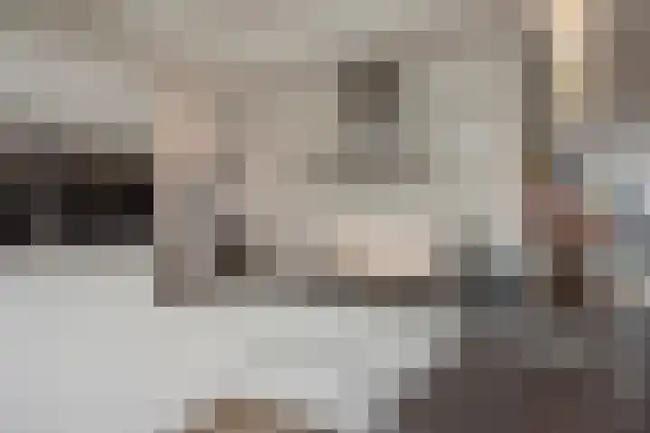 Aruba 8 Zoetermeer thumbnail 12