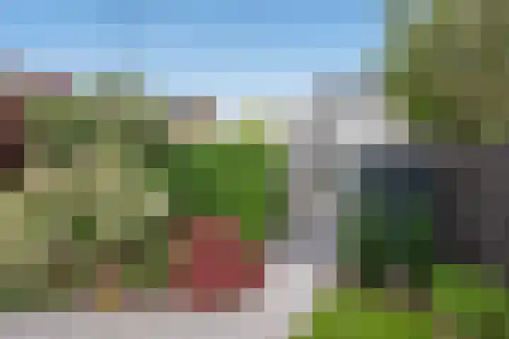 Aruba 8 Zoetermeer thumbnail 18