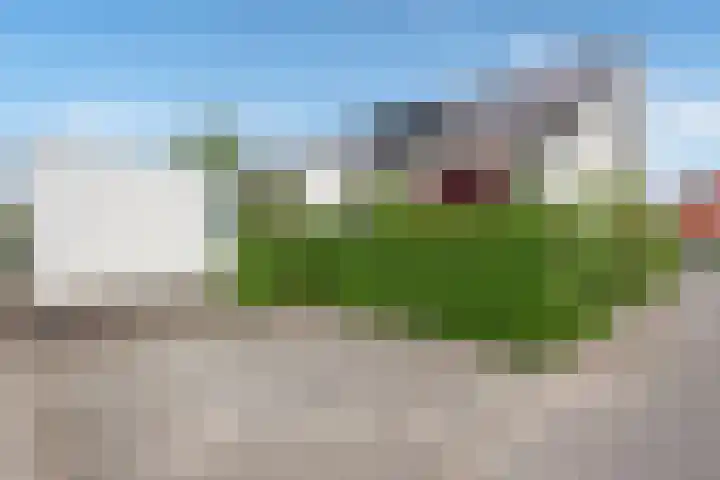 Aruba 8 Zoetermeer thumbnail 19